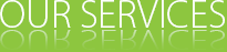 Our Services
